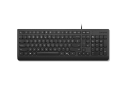 Lenovo TAS - Wired - Lenovo Essential Wired (GER)