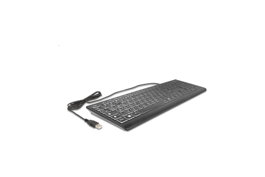 DELOCK USB Tastatur kabelgebunden 1,5 m schwarz mit XXL Bstb