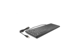 DELOCK USB Tastatur kabelgebunden 1,5 m schwarz mit XXL Bstb