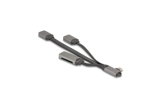 DELOCK 2 Port USB Hub inklusive SD und Micro SD Card Reader