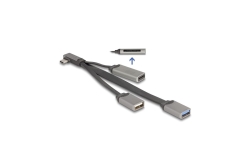 DELOCK 2 Port USB Hub inklusive SD und Micro SD Card Reader