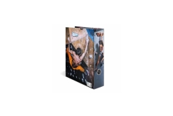 HERMA Ordner A4 Karton Bouldern