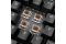 Sharkoon Gaming Tastatur Skiller SGK20 schwarz-braun DE