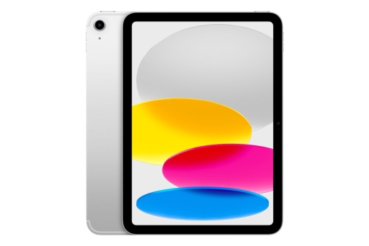 Apple iPad 11 WIFI + LTE 256GB (Silber) 11.Gen iOS