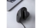 Equip Ergonomische Maus USB-A/-C Stker 1.80m Rechts schwarz