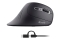 Equip Ergonomische Maus USB-A/-C Stker 1.80m Rechts schwarz