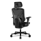 COUGAR Gaming/Office-Stuhl Speeder, Mesh, Schwarz