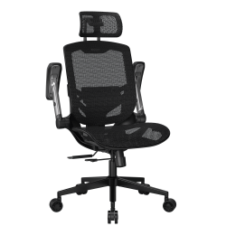 COUGAR Gaming/Office-Stuhl Speeder One, Mesh, Schwarz