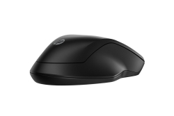 HP 255 Dual Wireless Mouse