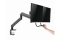 gembird LCD Plasma TV Tischhalterung 17-32 8 kg