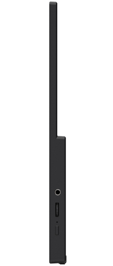 MSI PRO MP165DE E6 40cm FHD 16:9 LED HDMI USB Portable-TFT
