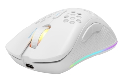 Deltaco Gaming Maus USB, RGB, weiß