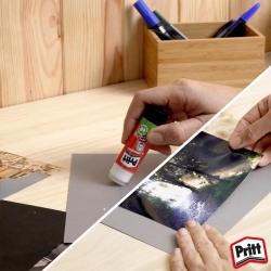 Pritt Display Klebestifte BTS 2025 Tierisch wild