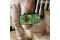 Hyperkin Travelcase Miraculous cat noir Switch
