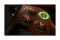 Gamepad Thrustm. eswap X2 H.E. Controller (XBO/PC) retail