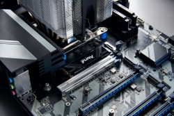 SSD 4TB Kingston M.2 PCI-E NVMe Gen5 FURY Renegade retail