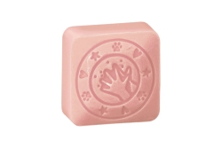 COLOP little NIO Cleany Stamp Leo retail