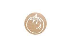 COLOP WOODIES Stempel-Set Mix retail