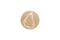 COLOP WOODIES Stempel-Set Mix retail