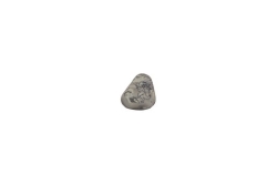 WEDO Radierer Fossil f.sortiert 3er mit Dino Aufdruck 12STK