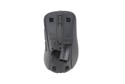 ASUS MD102 Maus wireless 1600dpi schwarz
