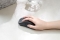 ASUS MD102 Maus wireless 1600dpi schwarz