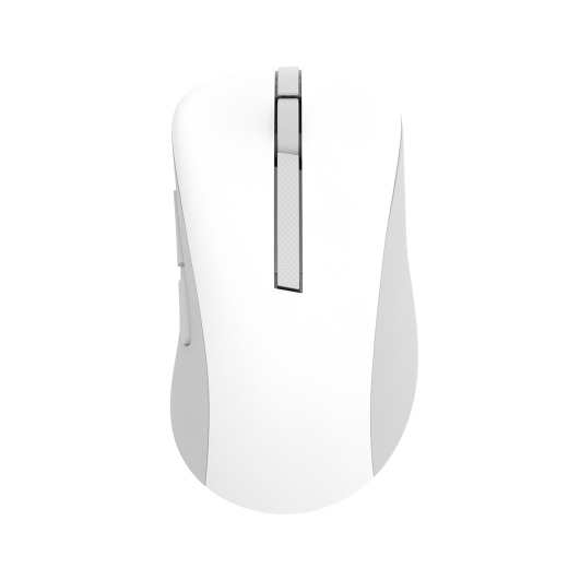 ASUS MD102 Maus wireless 1600dpi weiß