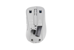 ASUS MD102 Maus wireless 1600dpi weiß