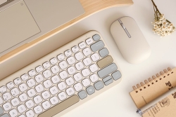 ASUS KW100 Marshmallow Tastatur beige