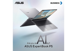 ASUS ExpertBook P5 14 U5-226V 16/512 P5405CSA-NZ0915 ohne OS