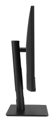 ASUS ProArt PA27UCGE 68.58 cm (16:9) UHD HDMI DP