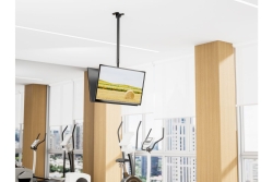 Equip Deckenhalterung 43-86/2TFT 50Kg Rücken->Rücken sw lite Retail