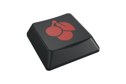 CHERRY KC500MX-LP Tastatur Wired DE TKL 80% 1.80m schwarz