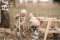 Gartentasche mit Gartenwerkzeug
