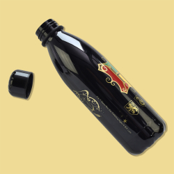 BlueSkyStudios HarryPotter Trinkflasche 650ml