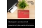 Xerox Toner Everyday Remanufactured Ricoh 841819 Magenta
