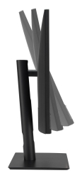 ASUS ProArt PA32UCE 80.01cm (16:9) UHD HDMI DP