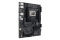ASUS PRO WS W880-ACE SE (INTEL,1851,DDR5,ATX)