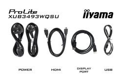 IIYAMA 86,7cm (34) XUB3493WQSU-B6 21:9 HDMI+2xDP+2xUSB-C