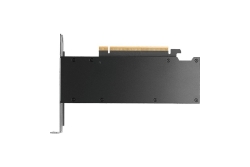 PNY Quadro RTX PRO 2000 Blackwell 16GB GDDR7 4xmDP