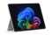 Microsoft Surface Pro CP+ 12 SD P/24GB/1TB Euro Platinum W11P