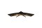 Arozzi TFT Nova 34 VA 165Hz curved schwarz