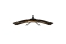 Arozzi TFT Nova 49 VA 165Hz curved schwarz