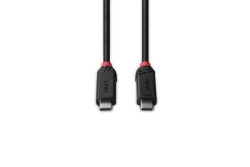 LINDY 2m USB4 240W Typ C Kabel, Black Line