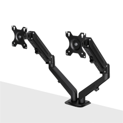 LINDY Dual Mount Desktop Gasfederarm - Schwarz
