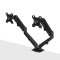 LINDY Dual Mount Desktop Gasfederarm - Schwarz