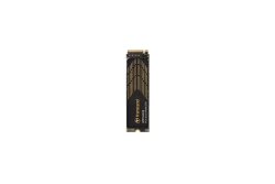 SSD 2TB Transcend M.2 MTE260S (M.2 2280) PCIe Gen5 x4 NVMe