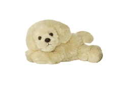 Aurora MF BAILIE GOLDEN RETRIEVER