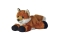 Aurora MF FOXXIE FOX
