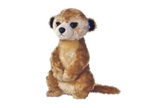 Aurora MF MEERKAT